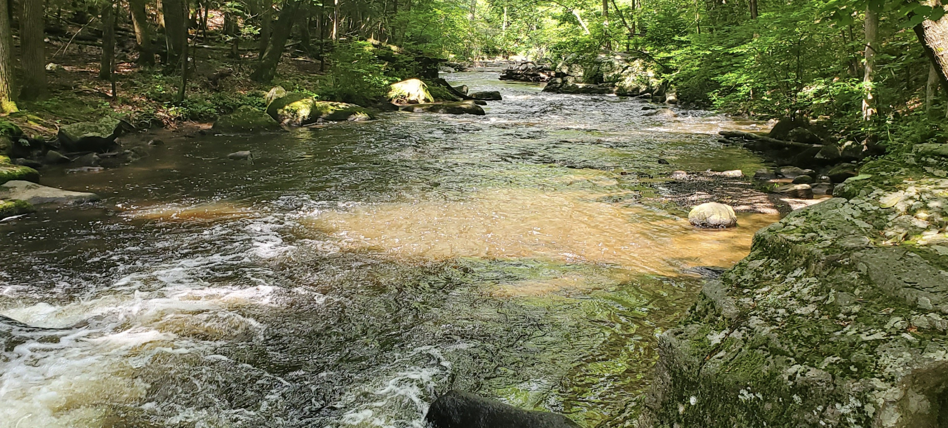 Finding Validation for My Life