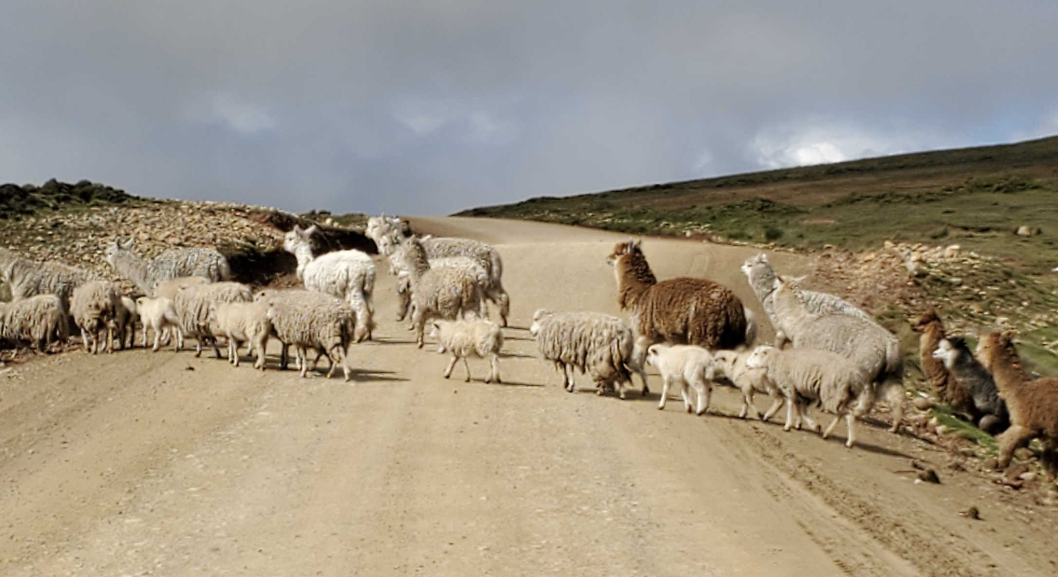 Learning to let go of the need to be right (Part 1)