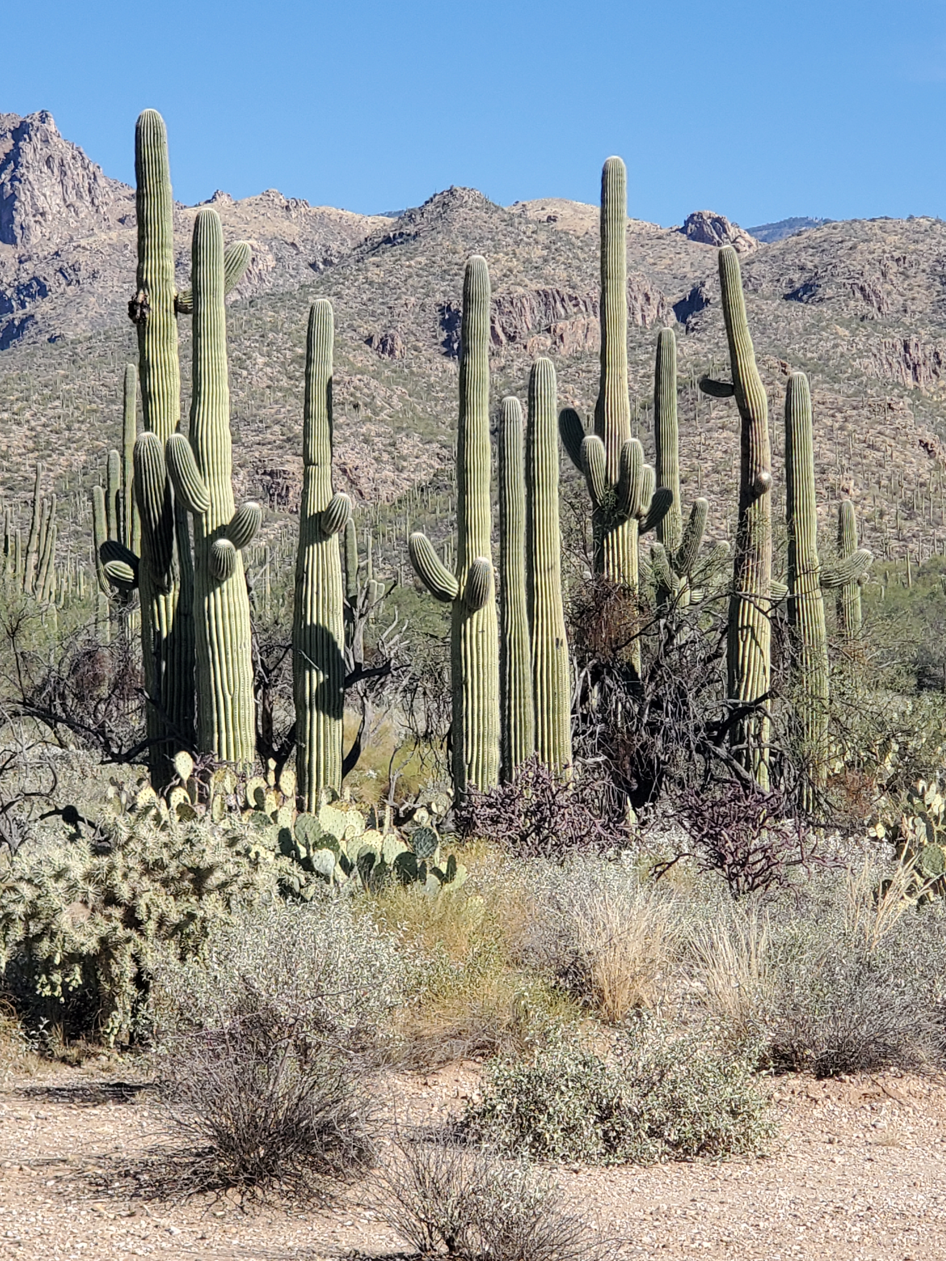 Digging My Way To China