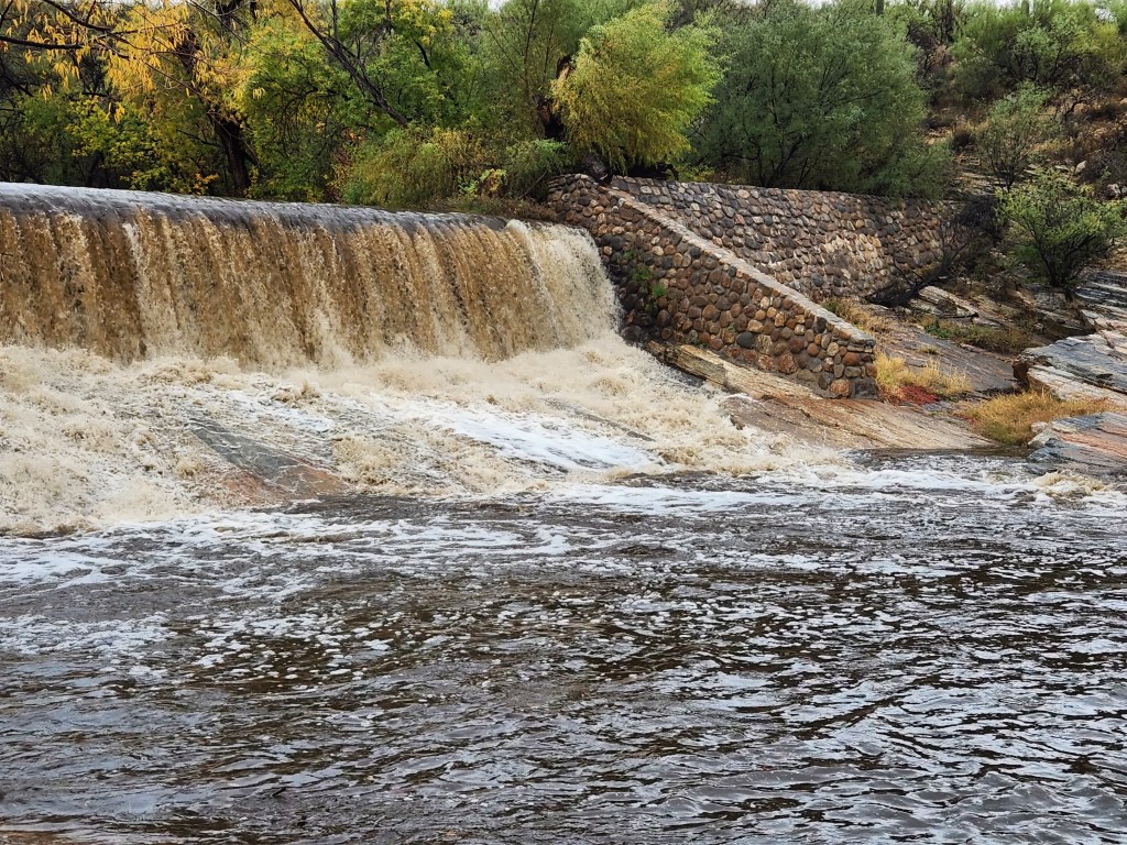 I Thought I Was Being&nbsp;Hijacked!