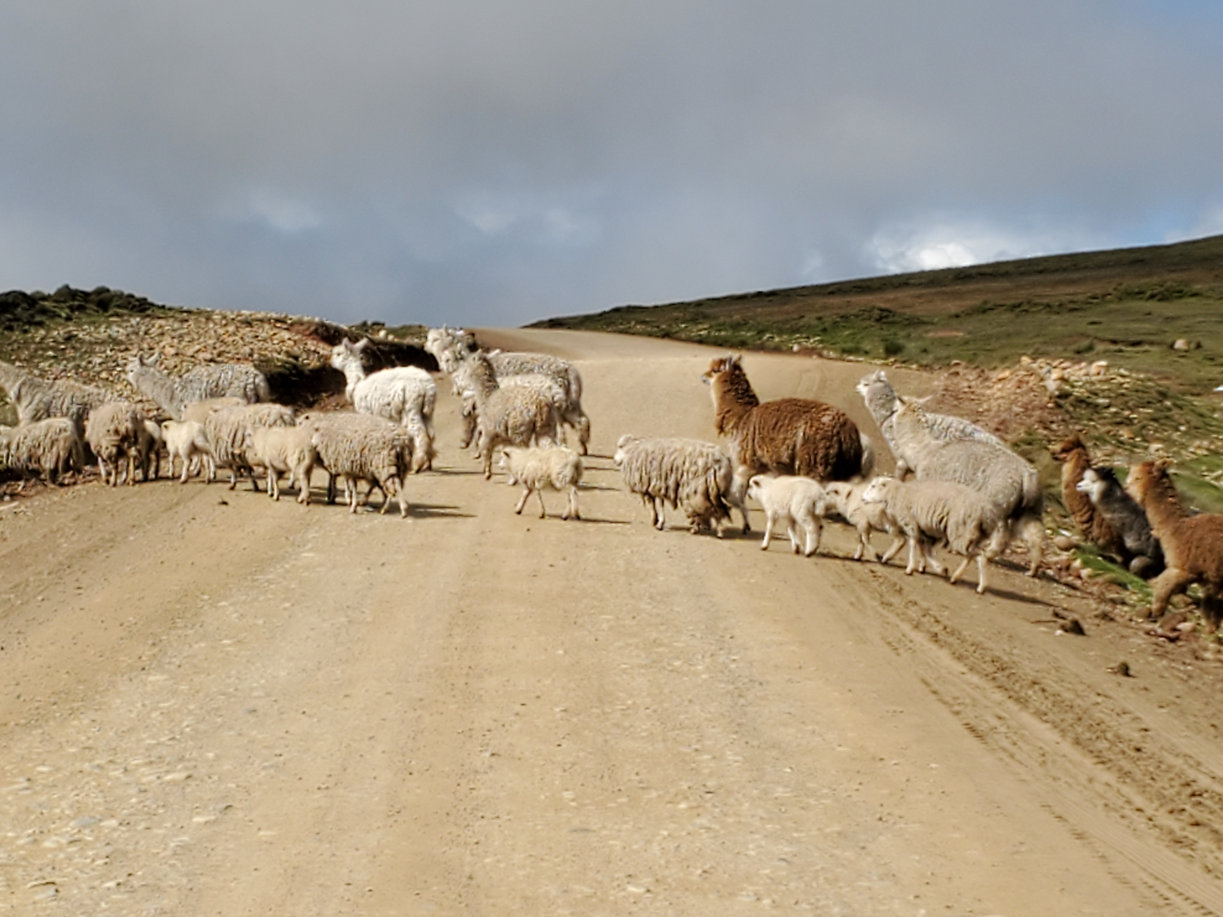 I Found A Potato In My Bed