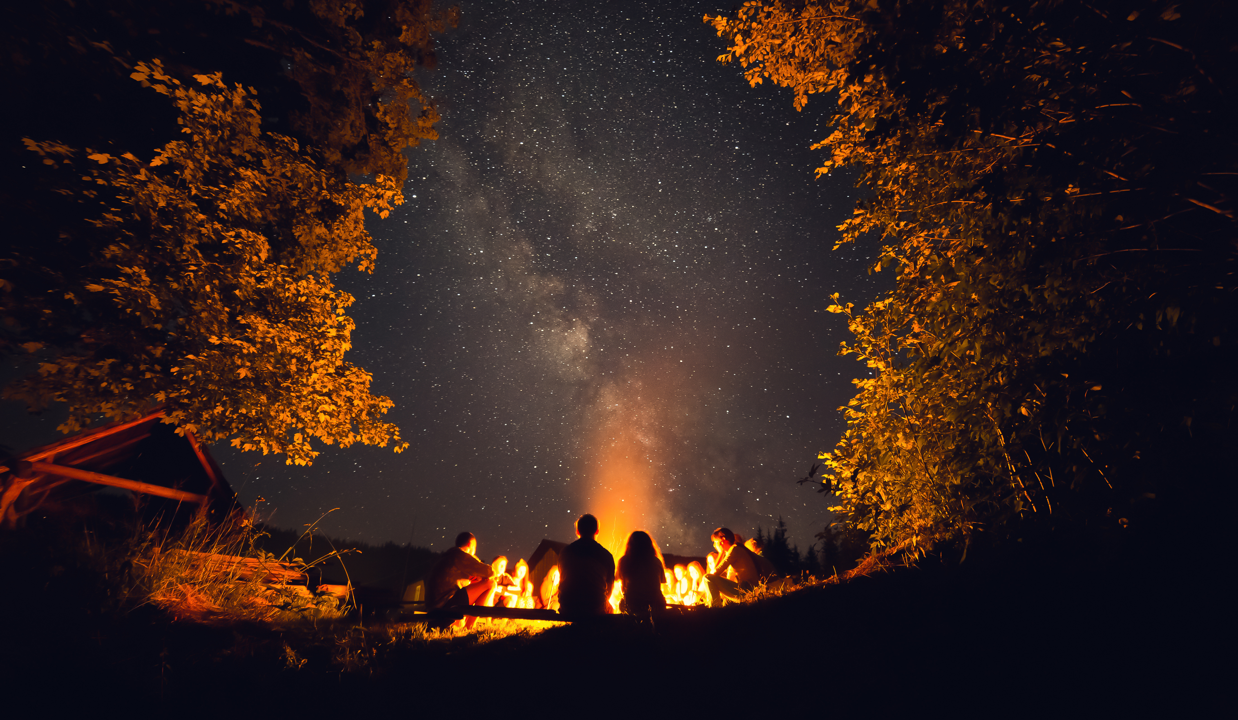 Understanding Psychedelic Medicine