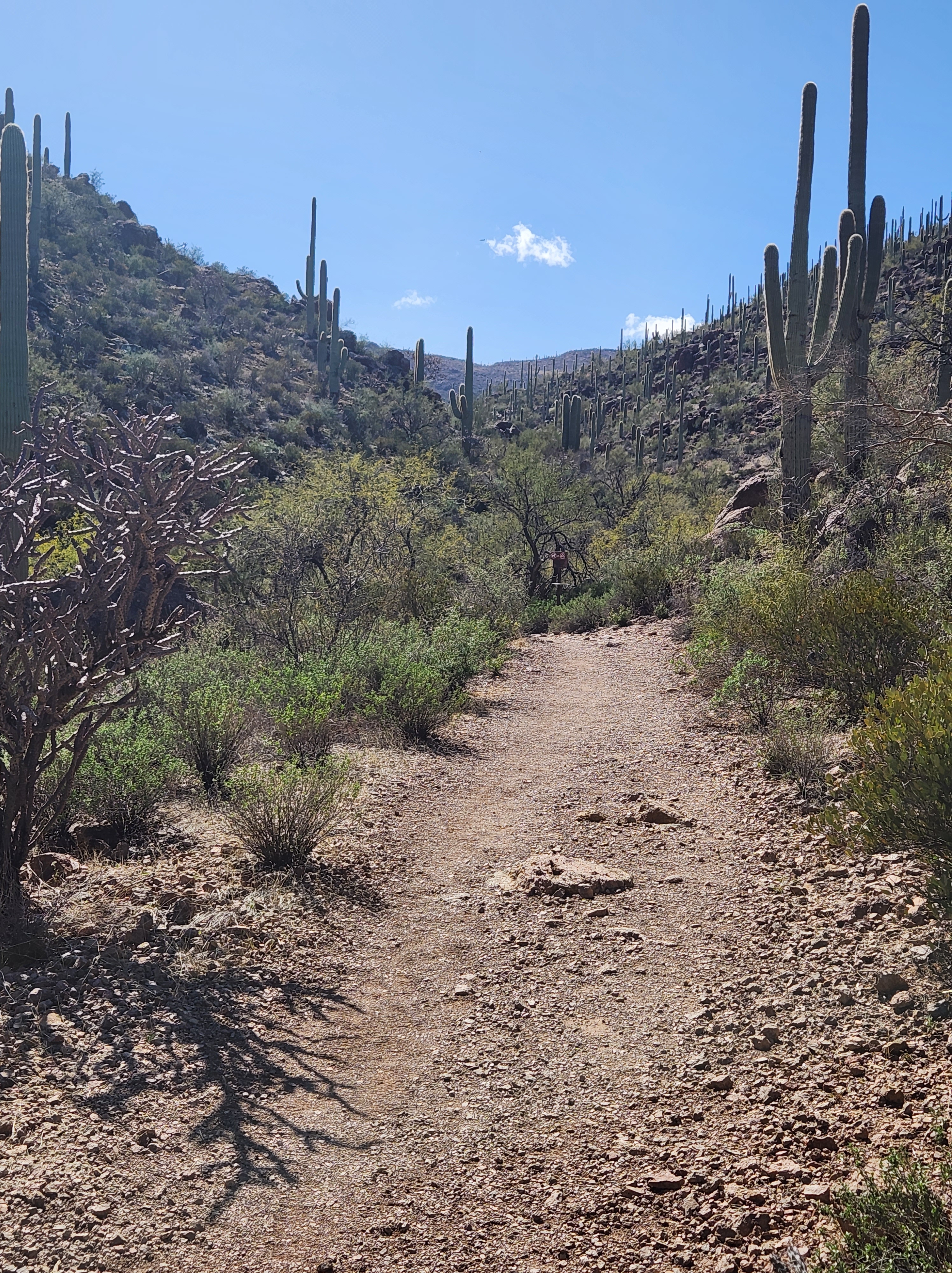 Finding A Clear Path