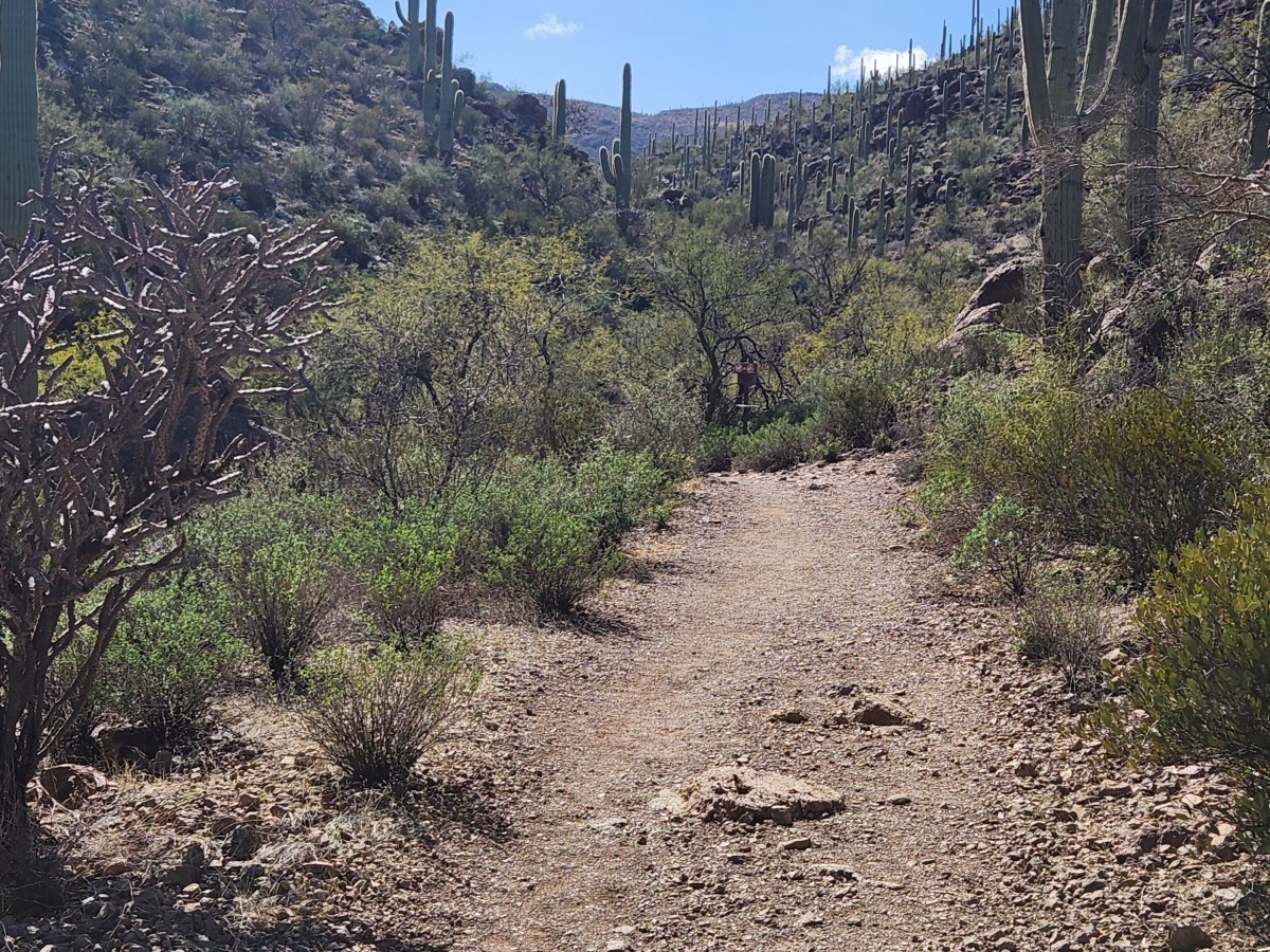 Finding A Clear&nbsp;Path